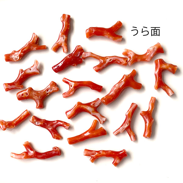 Blood red coral Red coral (branch) 37-64 Size: approx. 18.5-24.5 x 9-13 mm Hole diameter: approx. 0.8 mm 1 piece