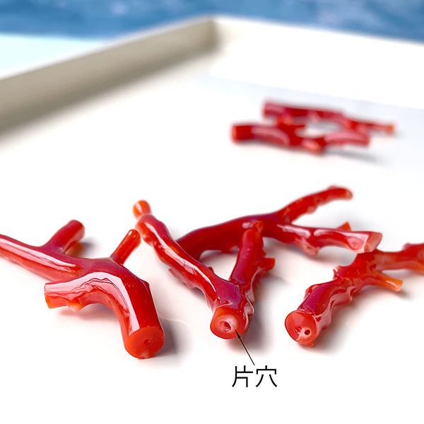 Blood red coral (branch) A-F Size: approx. 36-45 x 13-27 mm Hole diameter: approx. 0.8 mm 1 piece 