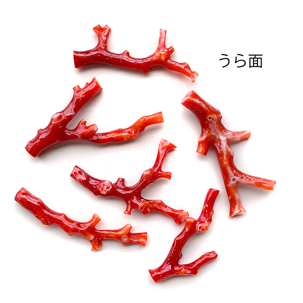 Blood red coral (branch) A-F Size: approx. 36-45 x 13-27 mm Hole diameter: approx. 0.8 mm 1 piece 